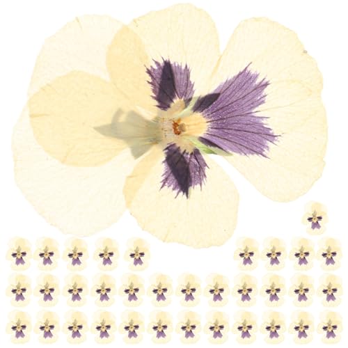 Flores Secas Naturales Prensadas 36 piezas para Manualidades miniatura 1
