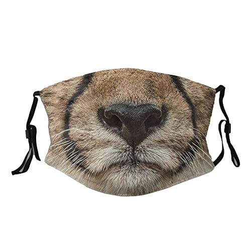 [INEOUT] ʔ}XN vg 􂦂z nbs[ ϑ nEB  p[eB[ObY VѐS ϊ J