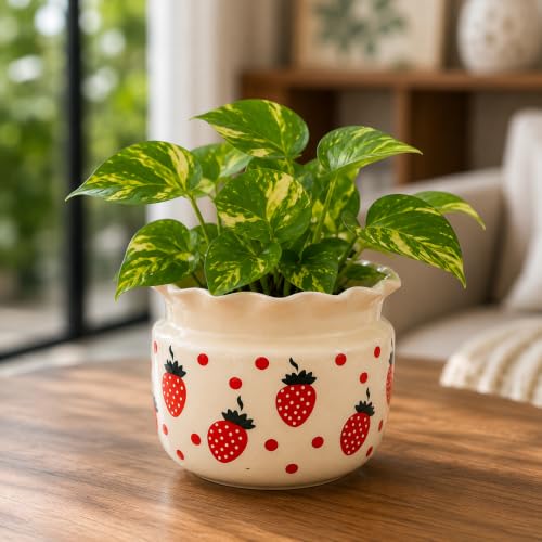 Image of Niyara Ceramic planters pots for Indoor Outdoor Home, Garden Office Decor Balcony Planters Gamla Flower Size Small 6 inches (Strawberry Jaipuri Print)