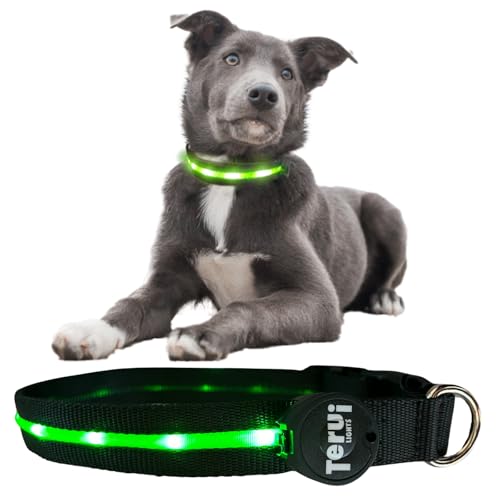 TERUI Lights �� ������ ���C�g LED USB-C �[�d�� ���^�� ���^�� ��^ ��� �U�� ���� �y�b�g�p�i �u�� ���̎�� ��U�� �����C�g (XS, �O���[��)