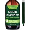 NEW AGE Chlorophyll Liquid Drops - Natural Concentrate Energy Booster, Digestion and Immune System Supports, Internal Deodorant, Liver Function - (2 Fl Oz (Pack of 1))