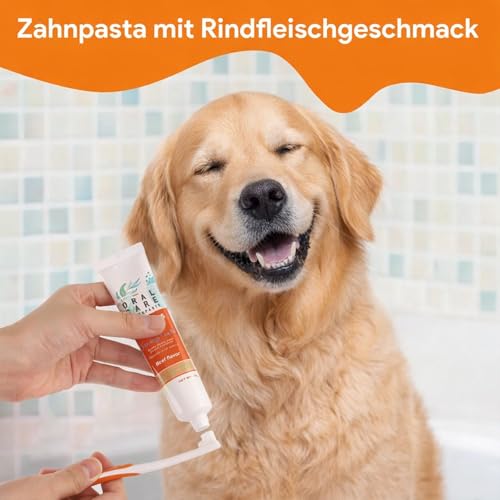Hunde Zahnpflege Set, Hundezahnpasta gegen Zahnstein und Mundgeruch, für Hund und Katzen Entfernt Plaque und Mundgeruch (orange Farbe)