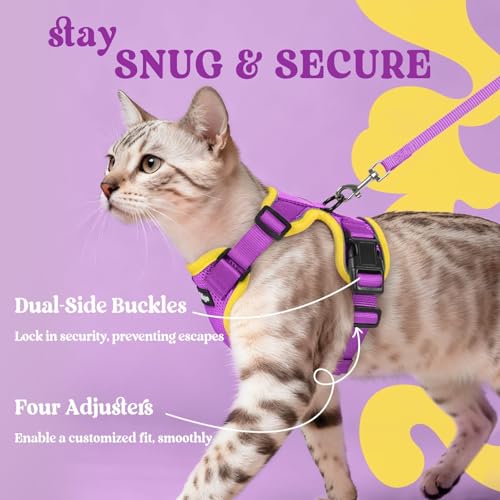 Image of rabbitgoo Cat Harness and Leash Set, Escape Proof Vest, Purple & Yellow | Soft Breathable Mesh, Easy Adjustable Fit, Snap Buckles, Sturdy Clip, Reflective Strips, for Average Cats Walks, S