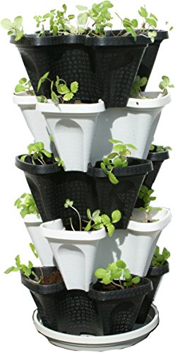 Mr. Stacky 5 Tier Stackable Strawberry, Herb, Flower, and Vegetable Planter - Vertical Garden Indoor/Outdoor