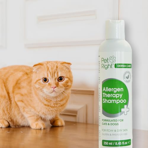 Pet Right Derma Care Hundeshampoo Allergen Therapie mit Pflanzenextrakten für Hunde und Katzen, Lindert Juckreiz und Gerüche, Sensitiv Formula 250 ml