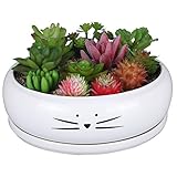Koolkatkoo 8 Inch Large Cute Cat Ceramic Succulent Planter Pots with Removable Saucer Unique...