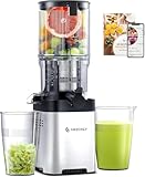 AMZCHEF Cold Press Juicer Machines - Slow Masticating Juicer with 145mm Large Feed Chute, Whole Fruit & Vegetable Juice Maker, Easy Clean, Triple Filter - Stainless Steel