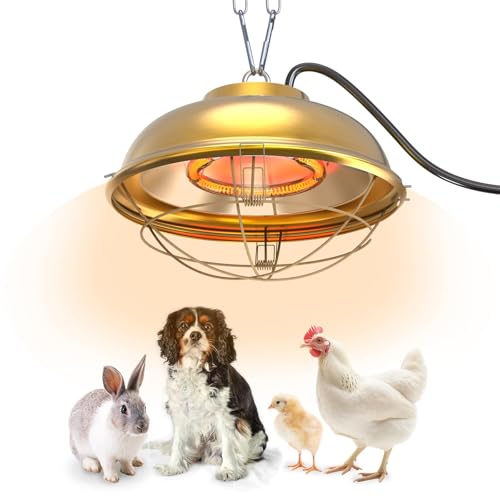 WORLEYX 300 Watt Heat Lamp for Chicken Coop - Professional Waterproof Chicken Coop Heater for Indoor & Outdoor Used - Suitable for Chick, Duck, Rabbit and Dog