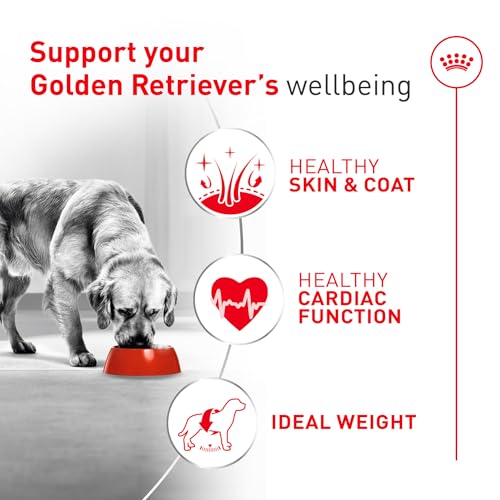 ROYAL CANIN Golden Retriever Adult Dry Dog Food, 30 lb Bag - image 3