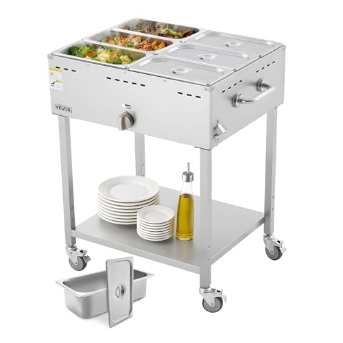 VEVOR 6-Pan Propane Steam Table