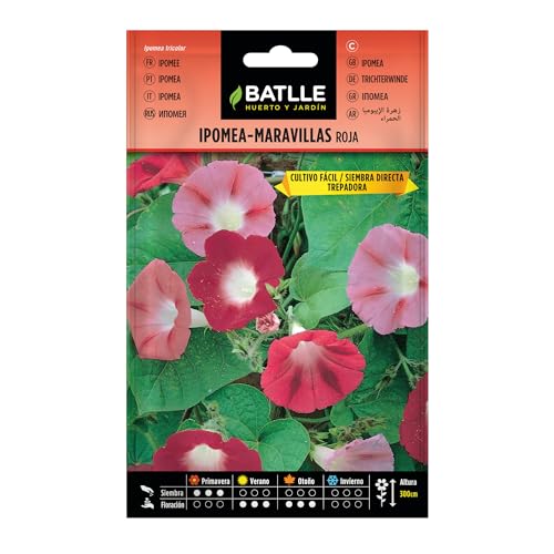 Semillas Batlle Ipomea Roja