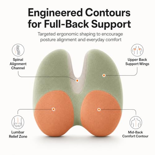 Image of JAMES STOKES Lumbar Support Pillow for Office Chair & Car Seat, Memory Foam Back Cushion with Adjustable Strap for Lower Back Pain Relief, Posture Support Backrest for Home, Office, Driving, Grey