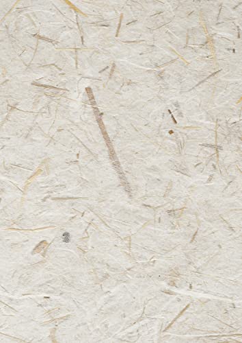 MarpaJansen Bananenpapier Natur Seidenpapier 50x70 cm Maulbeerbaumfasern Ganzjährig