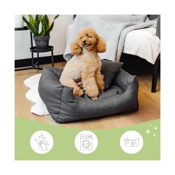 Creative Pets Hundebett 65x55x19 cm | grau | Hundekorb Katzenbett | Bett mit Kissen | Hundesofa | weich bequem | Schlafplätze Möbel für kleine und mittelgroße Hunde – Bild 4