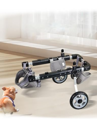 Silla de ruedas todo terreno para patas traseras, soporte ajustable con seguridad reflectante para mascotas pequeñas discapacitadas o lesionadas