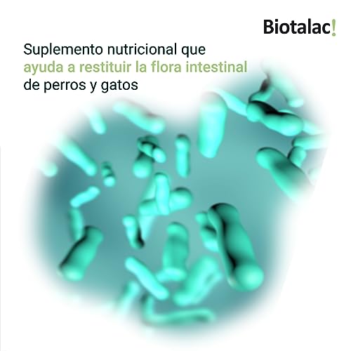 BIOTALAC ! Stabilisateur de la flore intestinale pour chiens et chats. Enterococcus faecium. 30 enveloppes en poudre. – Image 3