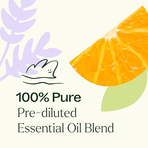 Plant Therapy Meditation Essential Oil Blend Pre-Diluted Roll-On 100 mL (1 oz) 100% Pure, Pre-Diluted, Calming Aromatherapy for Yoga, Mediation, and Self Care - Image 6