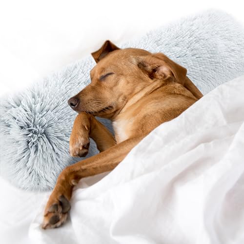 Amazon Best Sellers Best Dog Bed Pillows