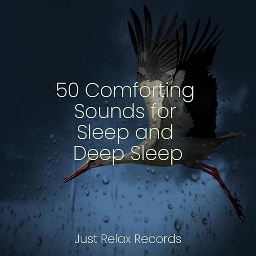 Spiele 50 Comforting Sounds for Sleep and Deep Sleep von Sonidos de la ...
