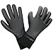 FELLOW サーフグローブ 4mm サーフィン スキン 防水 防寒グローブ 冬 ネオプレーン 裏起毛 保温 ウェットスーツ 日本規格 British Black Lサイズ