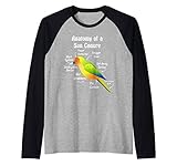 Photo Gallery anatomia di un pappagallo maglia con maniche raglan Photo Gallery anatomia di un pappagallo maglia con maniche raglan