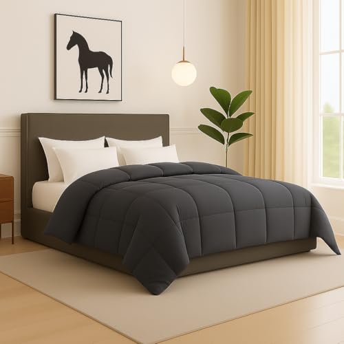 Bhoomi Impex Bed Comforter - Double Size - Dark Grey 300 GSM Quilt Blanket Rajai – Winter Warm Down Alternative Duvet Insert with Corner Ties