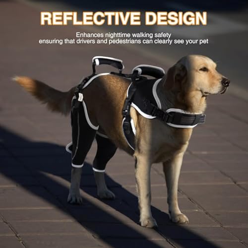 Image of Dog ACL Knee Brace for Torn ACL & Luxating Patella-Adjustable Leg Support with Sufficient Wrapping and Support, Non-Slip Joint Brace for Dogs, Pain Relief & Better Recovery-Both Leg-XL