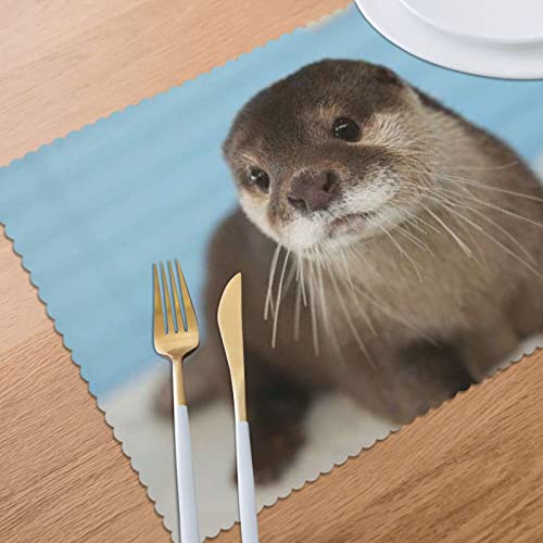Cute Otter Placemats Set Of 6 For Kitchen Gifts Washable Heat Resistant Table Mat Anti-Slip Place Mats 18X12 Inch #TOP7