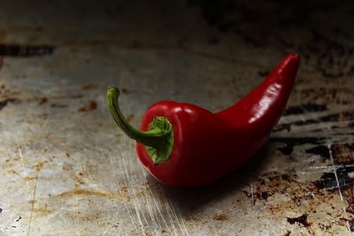 Graines Piment poivron doux corno di Toro Rosso - Sachet de 1 gramme - Graines de style