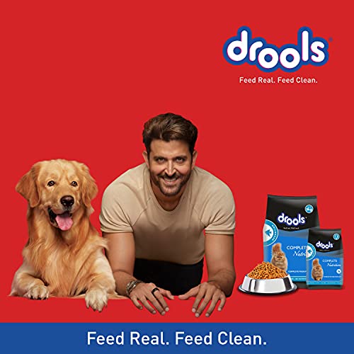 Drools-Adult1-year-Dry-Cat-Food-Ocean-Fish-3-kg-12-kg-Free
