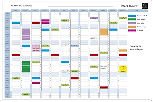 EXACOMPTA Planning annuel magnétique 90x59cm vendu en kit avec de nombreux accessoires