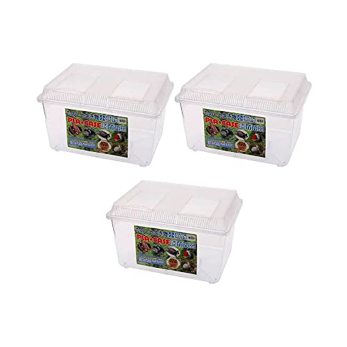 e X[p[ NAiTO×sRU×ROj×R vP[X   _J UKj llP_ ʓr