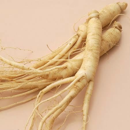 Amazon.co.jp: ウクレレ園芸SHOP ☆高麗人参☆ 種子5粒330円