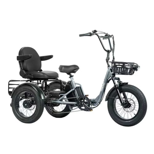 TINIOVER Creek Folding Electric Tricycle