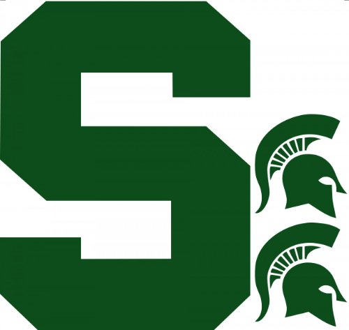 NCAA Michigan State Spartans Wall Accent - 3 Large MSU Decal Stickers