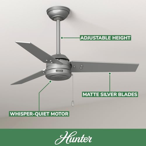 Image of Hunter Cassius, Outdoor or Indoor, Ceiling Fan, 44 inch, Matte Silver