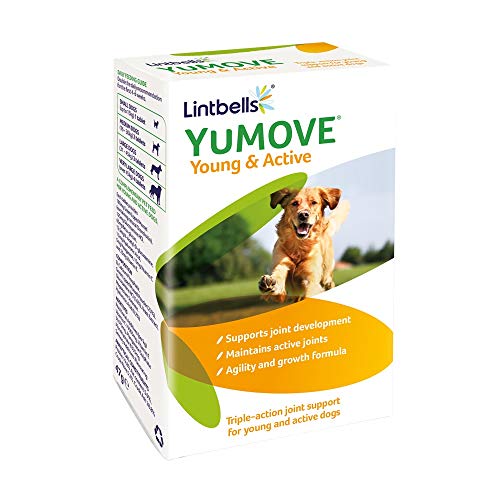 Lintbells | YuMOVE Young and Active Dog | Hip and Joint Supplement for Dogs to Support Active and Growing Joints Aged 2 to 6 | 60 Tablets