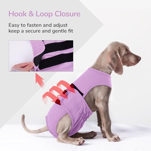PUMYPOREITY Washable Female Dog Diaper, Adjustable Suspender Pantie, Escape-Proof Anti-Harassment Wear for Heat, Incontinence, Puppy Training, Senior Pet, XS, Purple by PUMYPOREITY - Used condition - Image 3