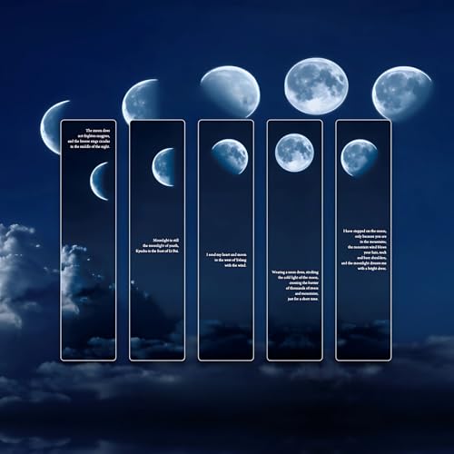  ȖifUC 5 Y ubN}[N x   Ǐ ()