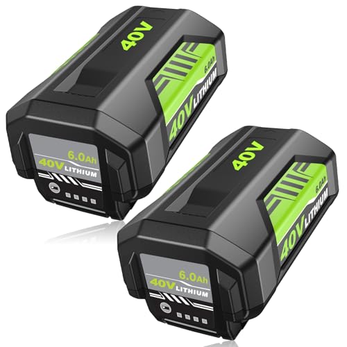 2Pack 6.0Ah Ryobi 40V Batteries - Best Budget Friendly