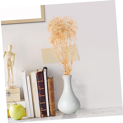Ramilletes de flor Gypsophila seca natural para decoración miniatura 4