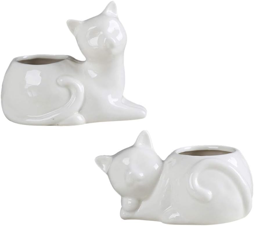 House Plants Indoors Live 2PCS Cat Flower Pots Creative