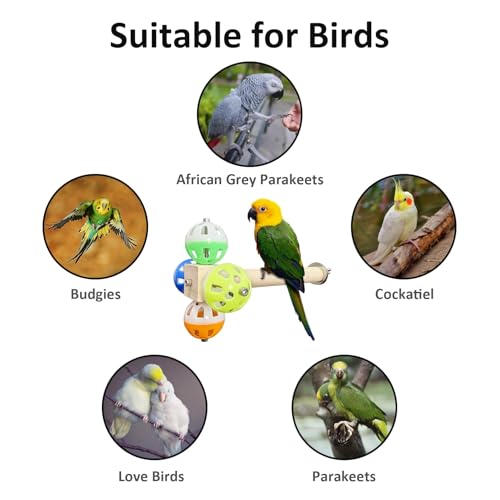 Image of PINVNBY Bird Perch Stand Toy with Rotating Balls, Parakeet Perch Toy Bird cage Accessories Wooden Puzzle Parrot Toys Bird Perch for African Greys，Budgies, Lovebirds, Medium Parrots