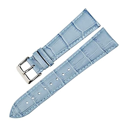 HELING Watch Accessoarer Äkta Watch Strap New Watch Bands Alligator Pattern Armband Passform for Dw Daniel Wellington (Band Color : Blue, Band Width : 17mm)