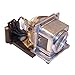P Premium Power Products POA-LMP113-ER Compatible Projector Lamp