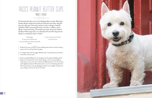 Home Cooking for Your Dog: 75 Holistic Recipes for a Healthier Dog
