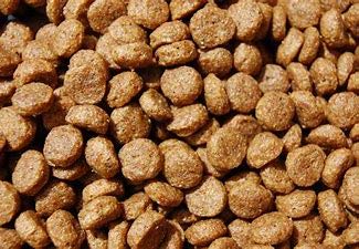 RED BRICK FERRET FOOD 2KG