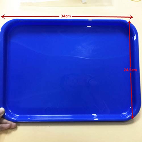 2 Pcs Dental Instrument autoclavable Plastic Trays Large falt -Blue