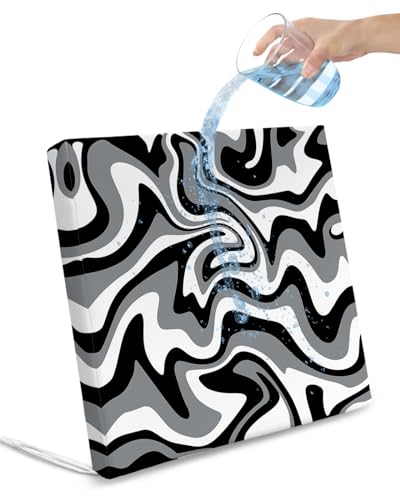 Edwiinsa Black White Indoor/Outdoor Seat Cushions Cover,Waterproof Patio Chaise Lounge Cushion Cover for Beach Pool Side Chair Cushions 22x22x2 Pieces Modern Abstract Ombre Aesthetics Art