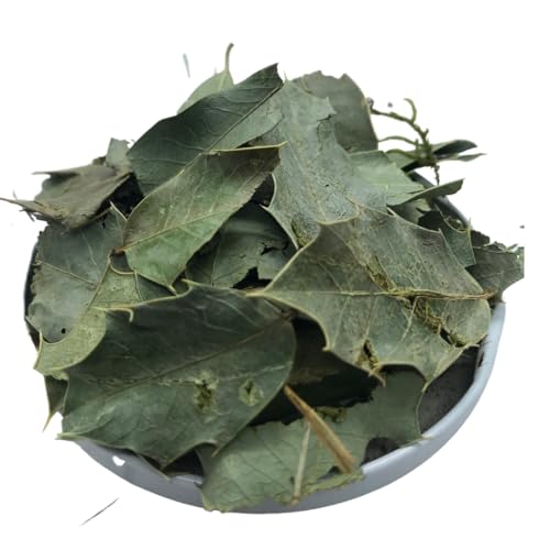 Espinheira Santa Maytenus 1kg (Maytenus ilicifolia)
